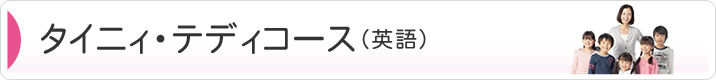 タイニィ・テディコース（英語）