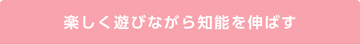 楽しく遊びながら知能を伸ばす