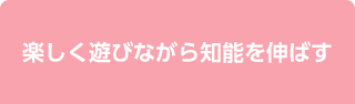 楽しく遊びながら知能を伸ばす
