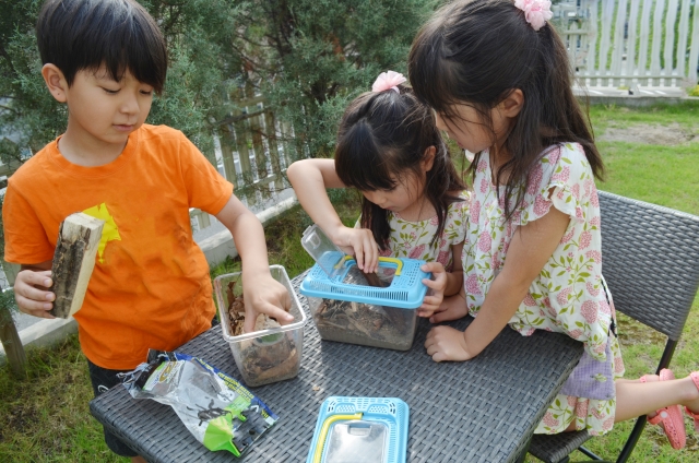 夏休みの子どもの預け先　学童を始め祖父母の家やサマーキャンプなども活用