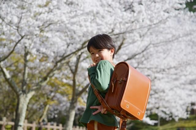 男の子が桜の木の下でランドセルを背負っている画像