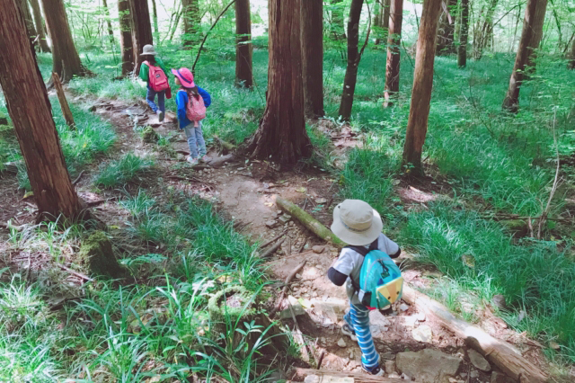 山の中を歩く子供の画像