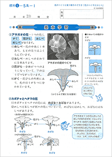 理科教材の例1