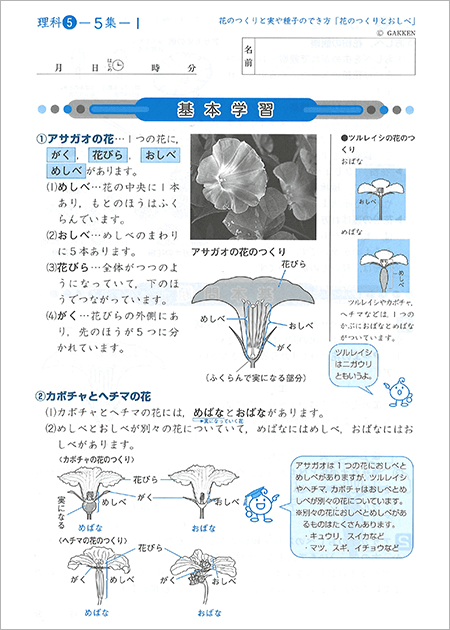 イラストや写真を多用しているので、学習内容がイメージしやすい教材です。