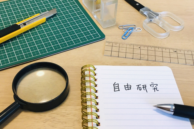 小学4年生の自由研究 作品や実験に感想や意見を加えてみる