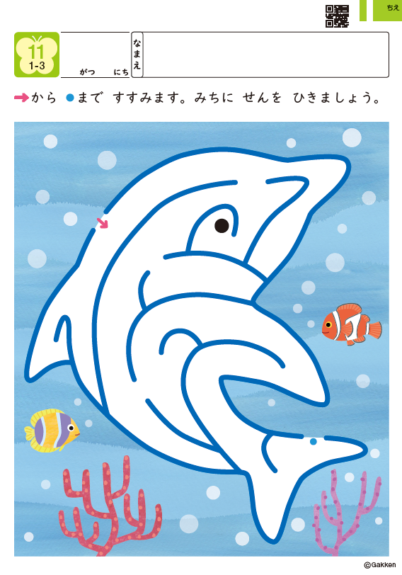 イルカの体に沿って作られた迷路の教材画像