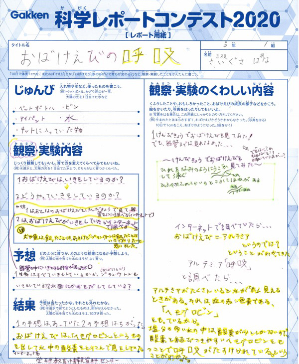 学研教室科学レポートコンテスト 優秀作品発表 学研教室