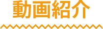 動画紹介