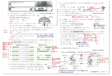 ���ȁE�Љ�R�[�X�̓Y���